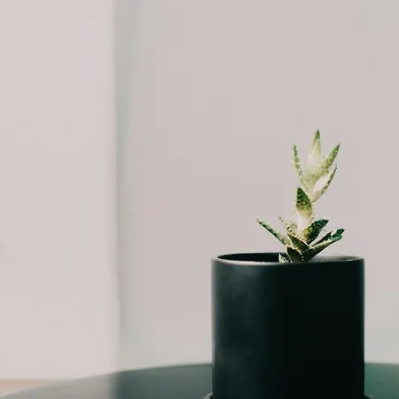 Nikolaos בית הארחה נאפפליו