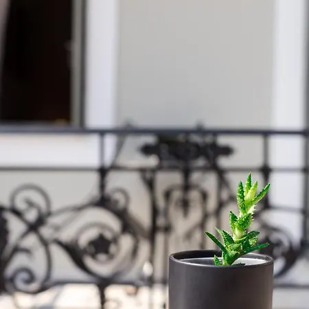 Nikolaos בית הארחה 3*