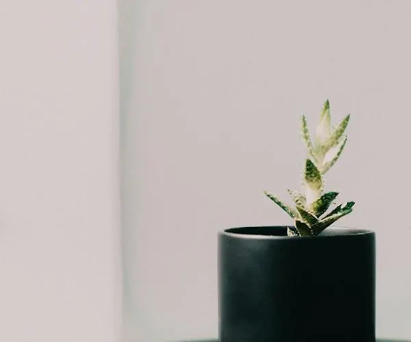 Nikolaos Vendégház Návplio